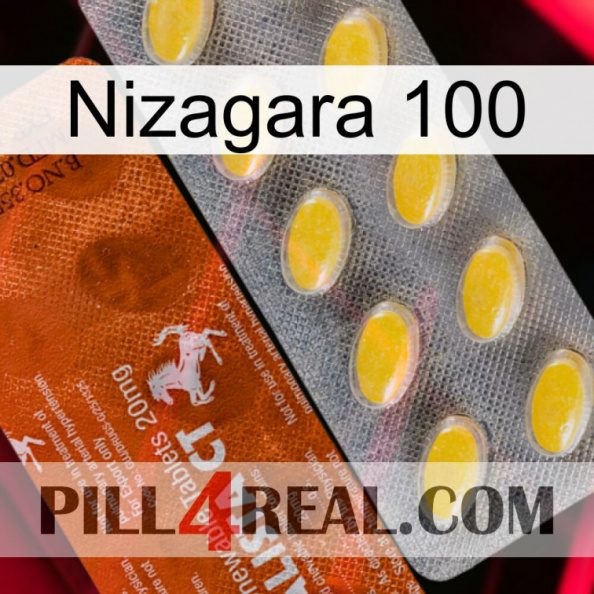 Nizagara 100 42